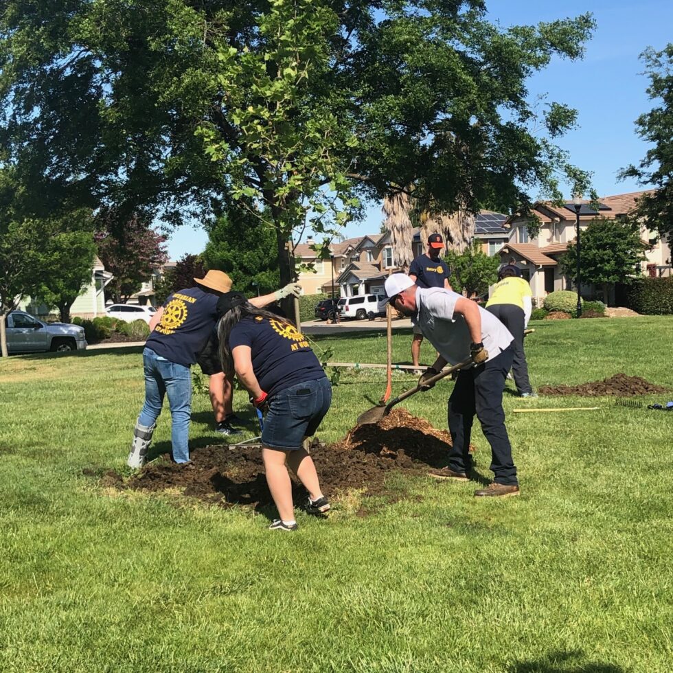 Home - The Brentwood Rotary Club